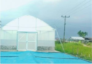 panen, agruculture, greenhouse, rumah pengering, dryer, ASABI, hidroponik, irigasi