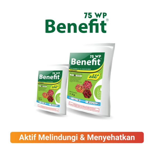 BENEFIT 75 WP