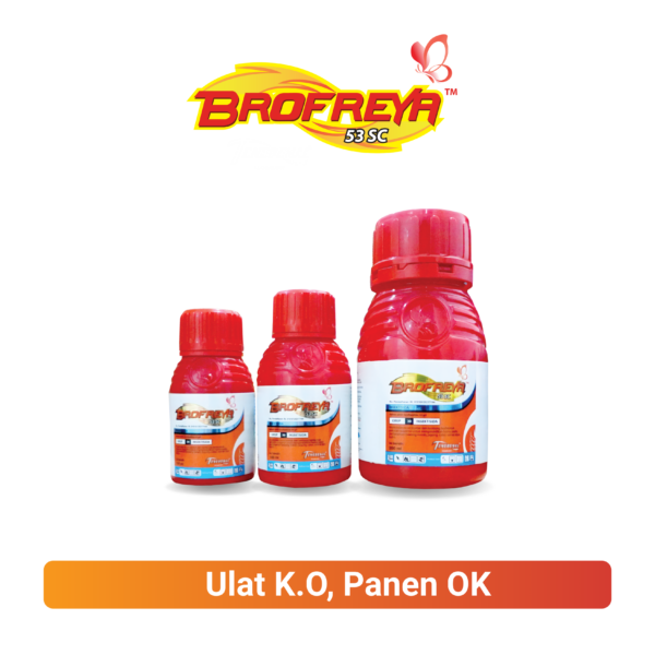 BROFREYA 53 SC