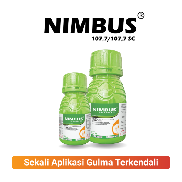 NIMBUS