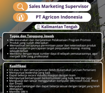 SMS Kalteng 1 768x1367 1 360x320