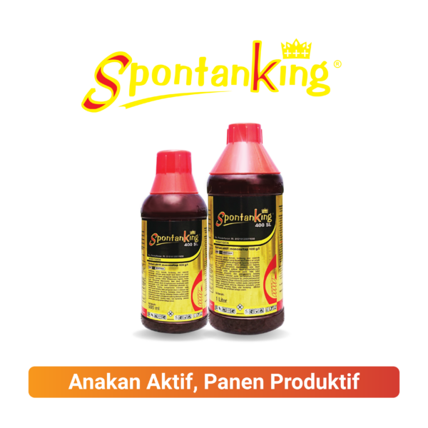 SPONTANKING 400 SL