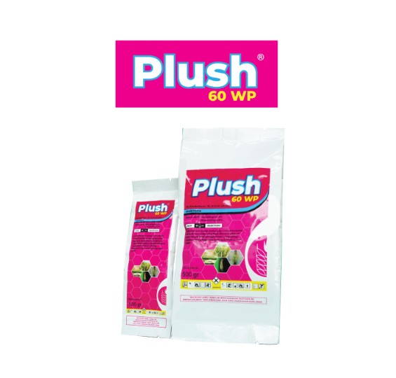 PLUSH 60 WP