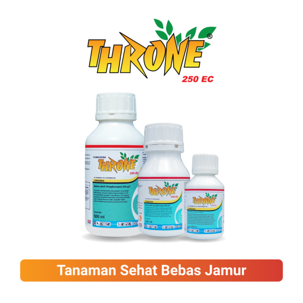 THRONE 250 EC