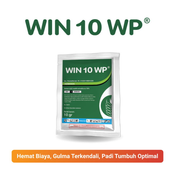 WIN 10 WP