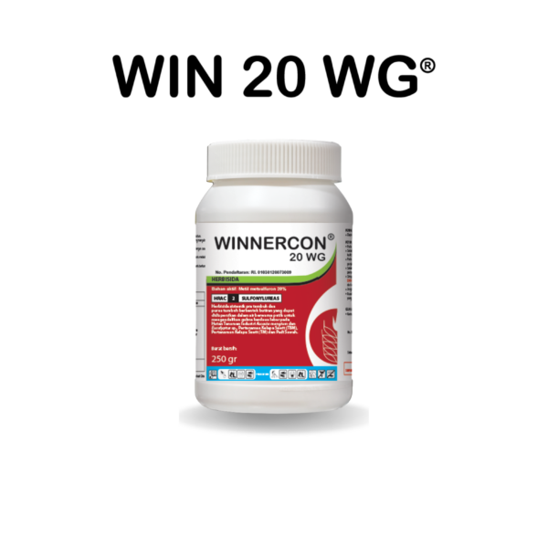 WIN 20 WG