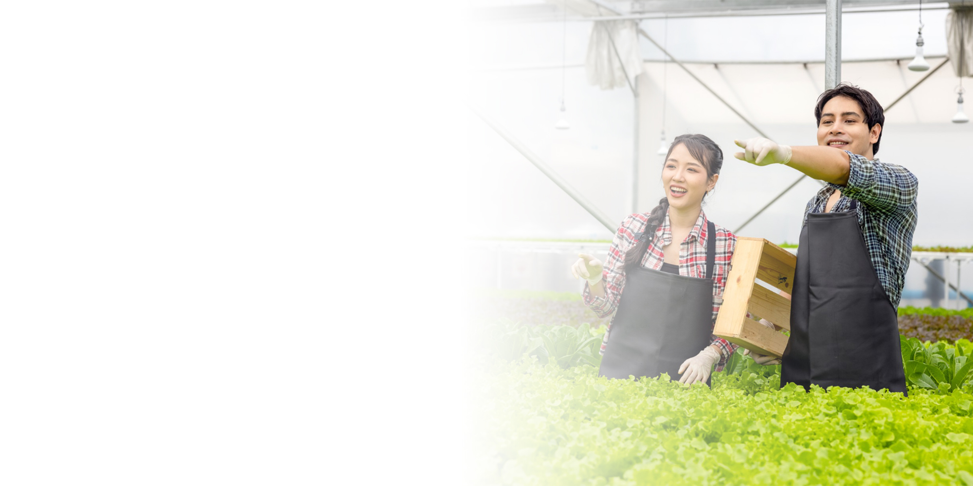 Agricon gradient4