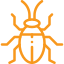 Insect