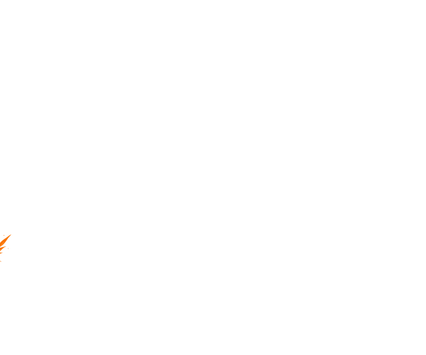 Padi 600x500