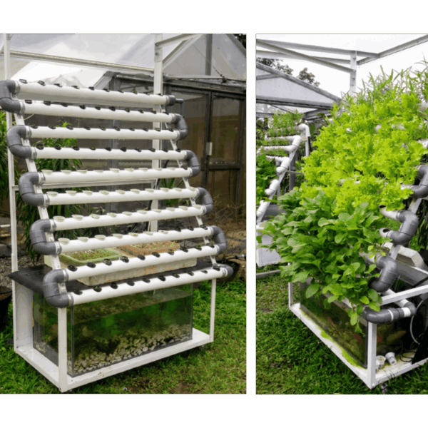 Aquaponik NFT Mini Vertikal V 1B 1 600x600