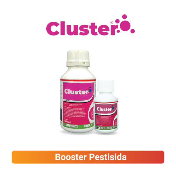 CLUSTER