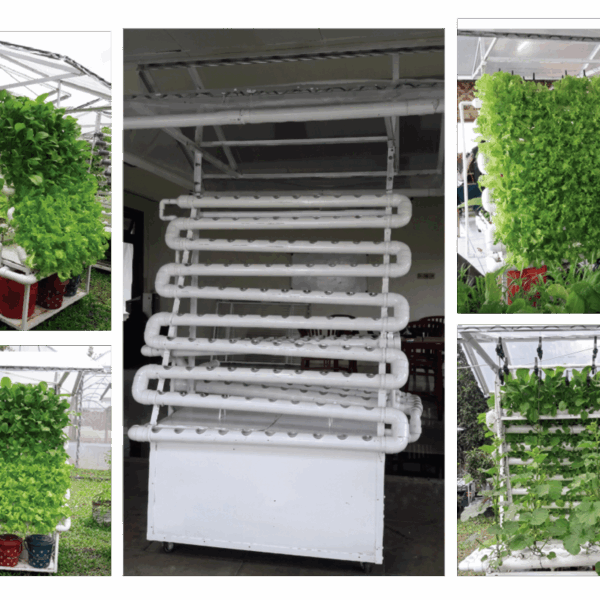 Hidroponik NFT Mini Vertikal Tipe V 3 600x600