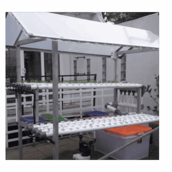NFT Step 600x600