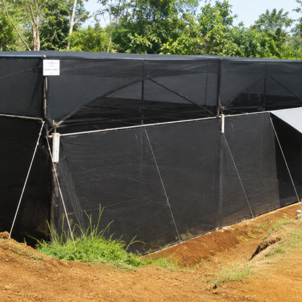 Shade Net 600x600