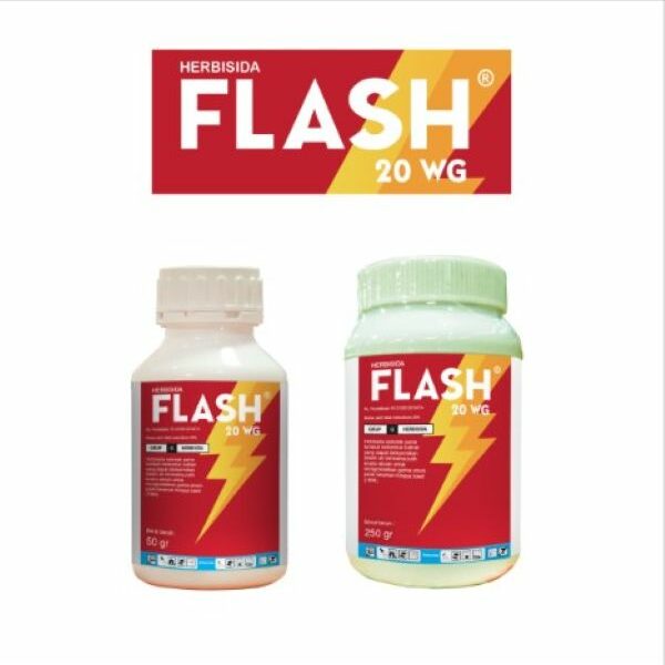 FLASH 20 WG