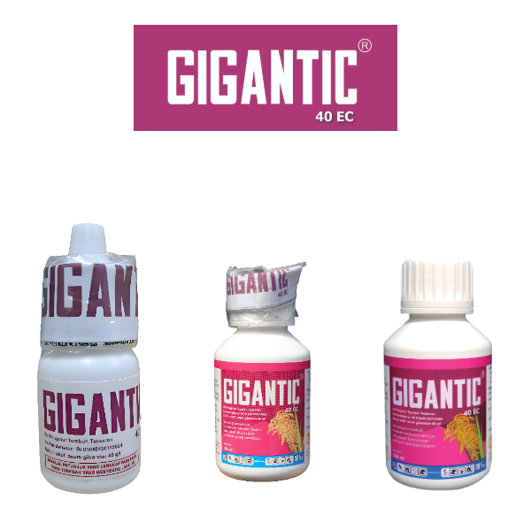 GIGANTIC 40 EC