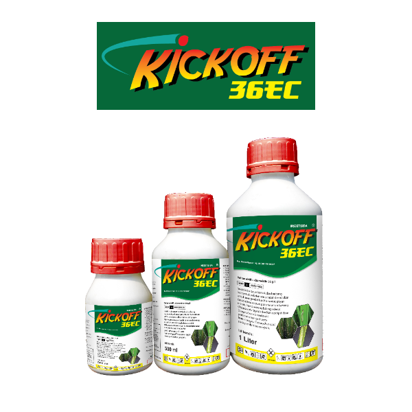 Kick Off 36EC