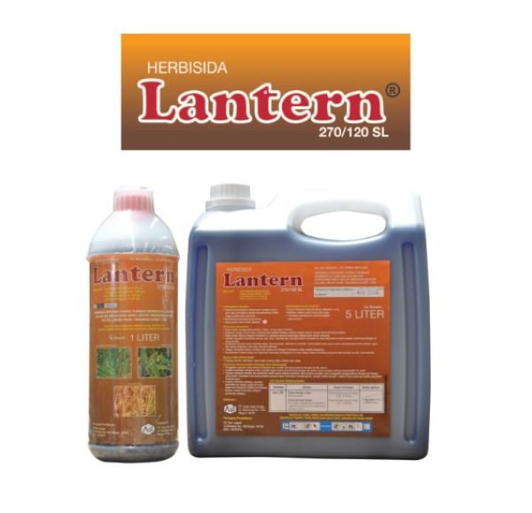 Lantern 270/120 SL