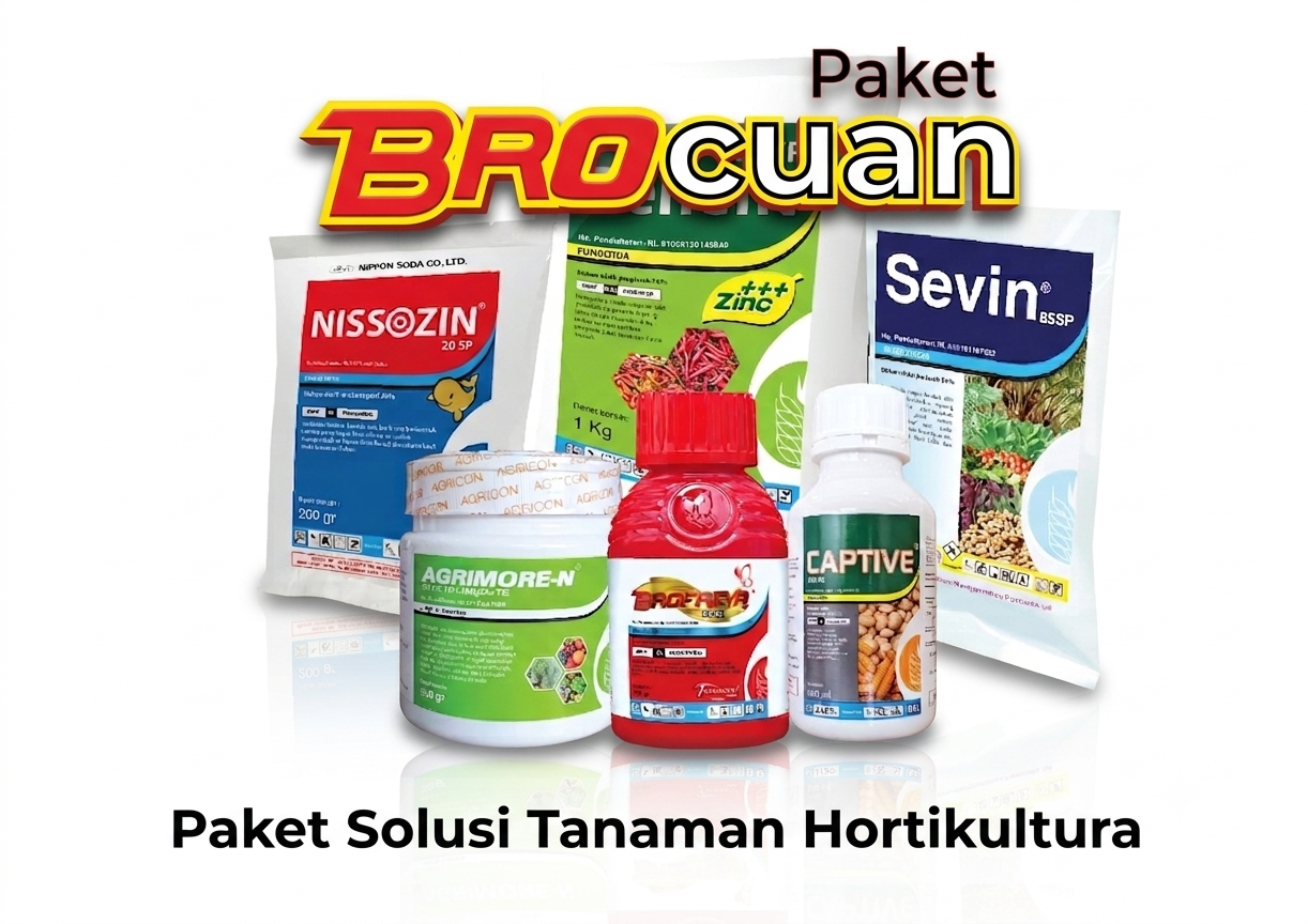 Paketbrocuan