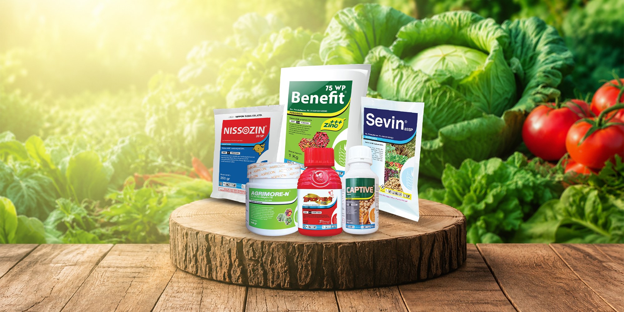 Brocuan tengah jpg