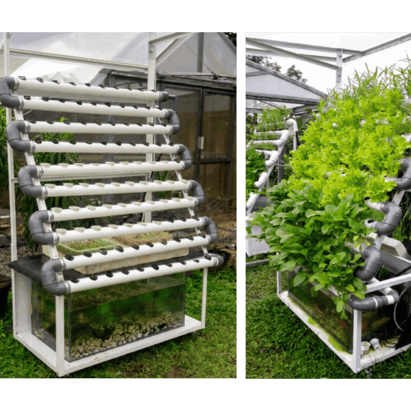 Aquaponic NFT Mini Vertical V 1B 600x600