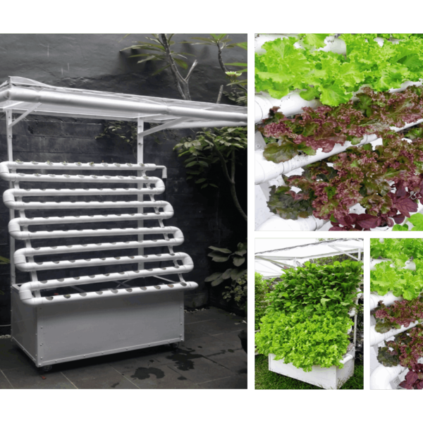 Hydroponic NFT Mini Vertical Type V 1A 600x600