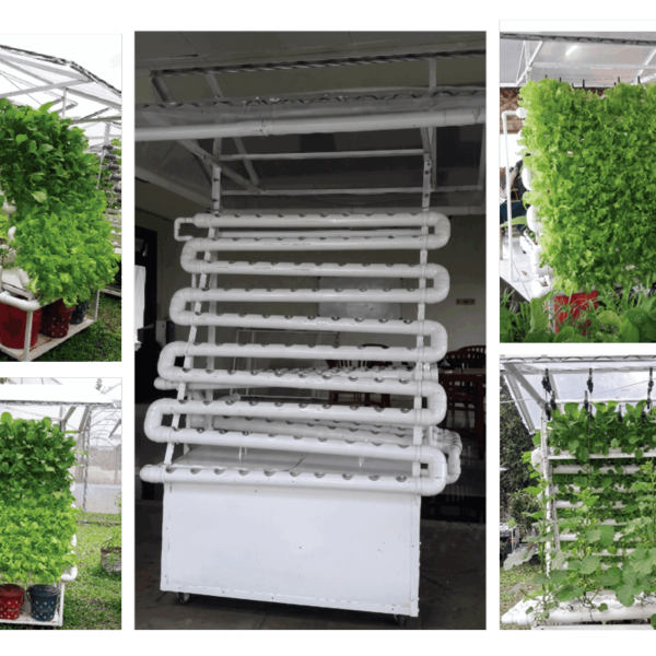 Hydroponic NFT Mini Vertical Type V 3 600x600